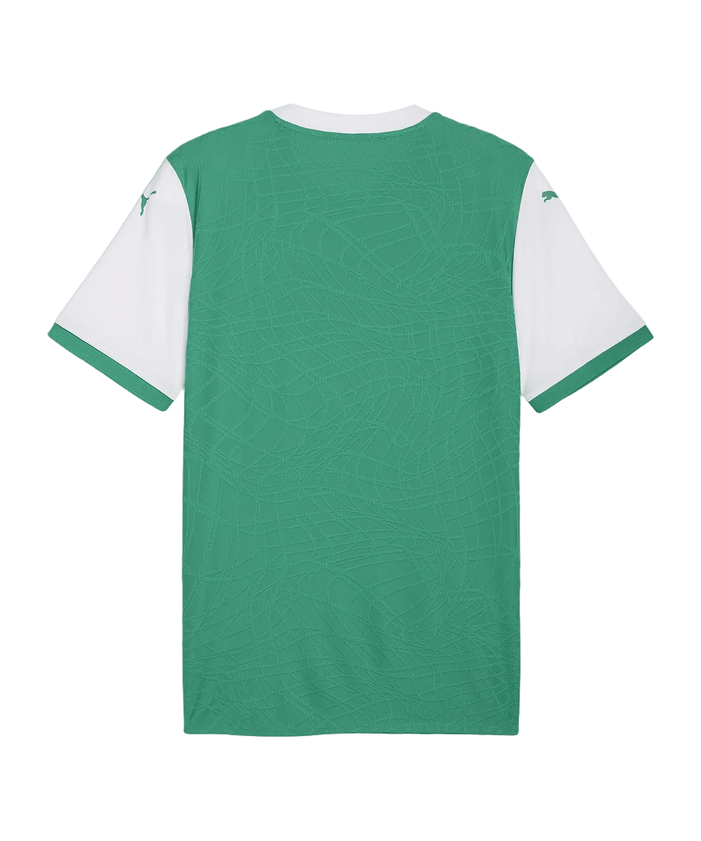 PUMA teamFINAL26 Knit Trikot Grün F05 - gruen