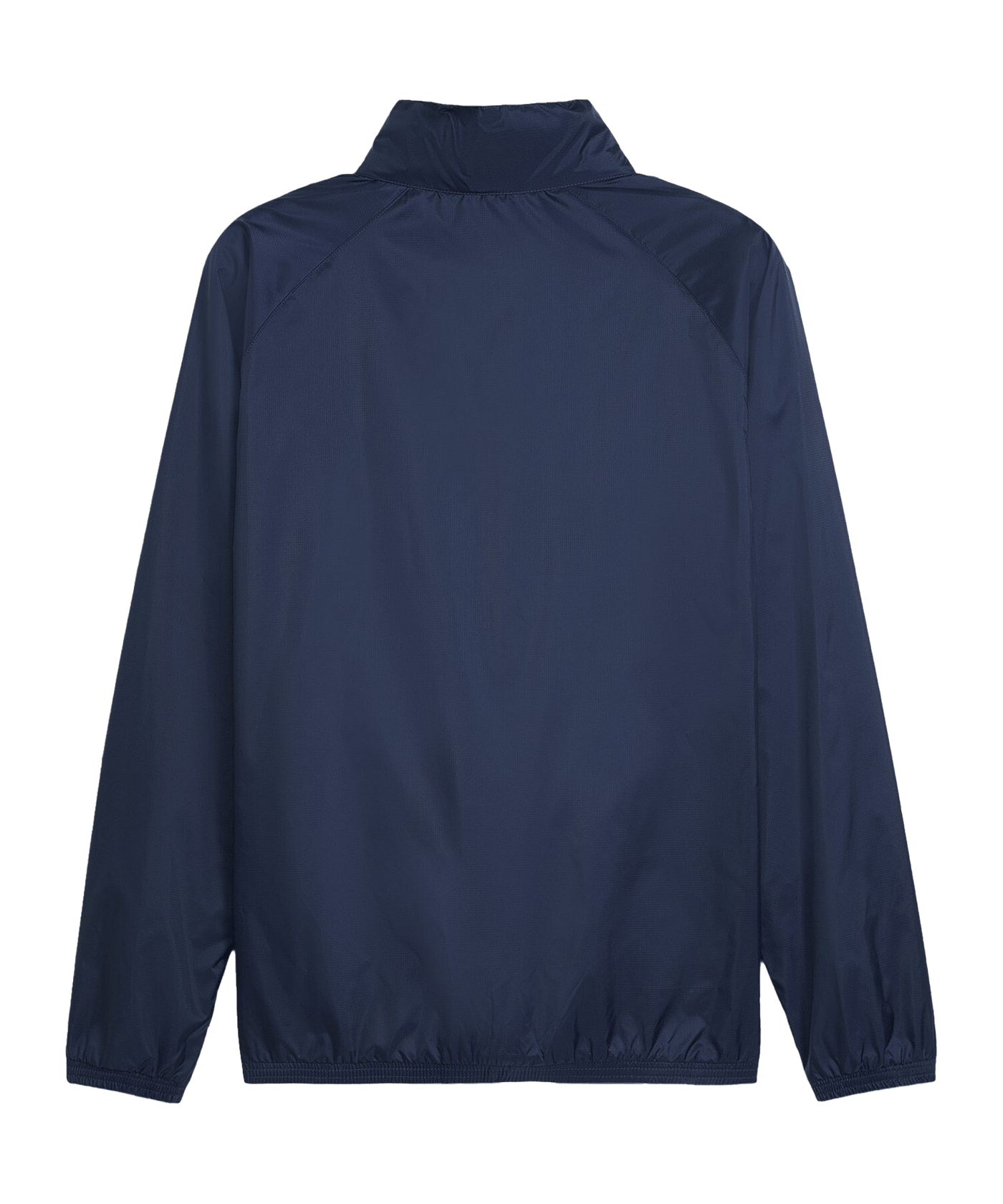 PUMA teamGOAL Allwetterjacke Blau Weiss F06 - blau