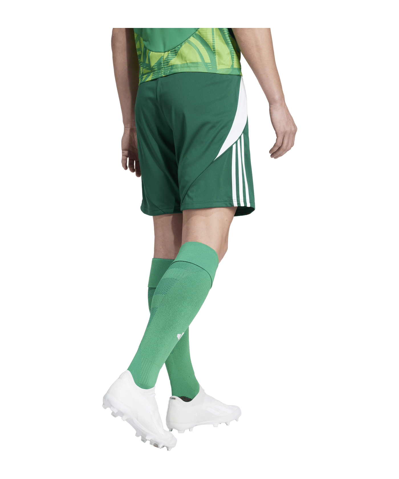 adidas Tiro 24 Short Grün Weiss - gruen