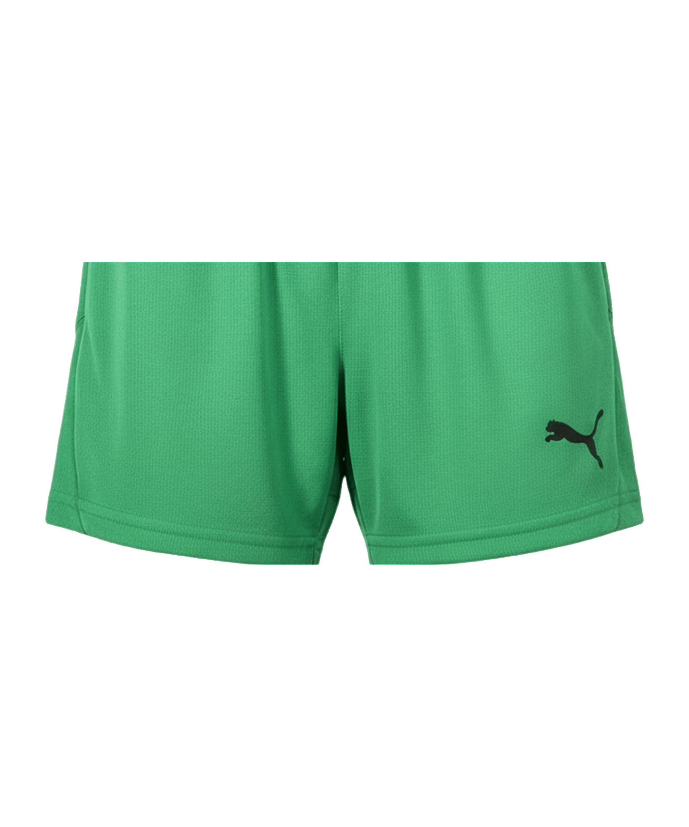 PUMA St. Gallen Short Kids Grün F01 - gruen