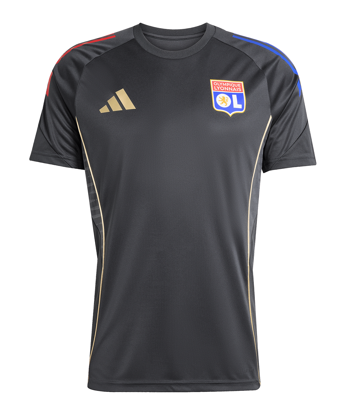adidas Olympique Lyon Trainingsshirt Grau - grau