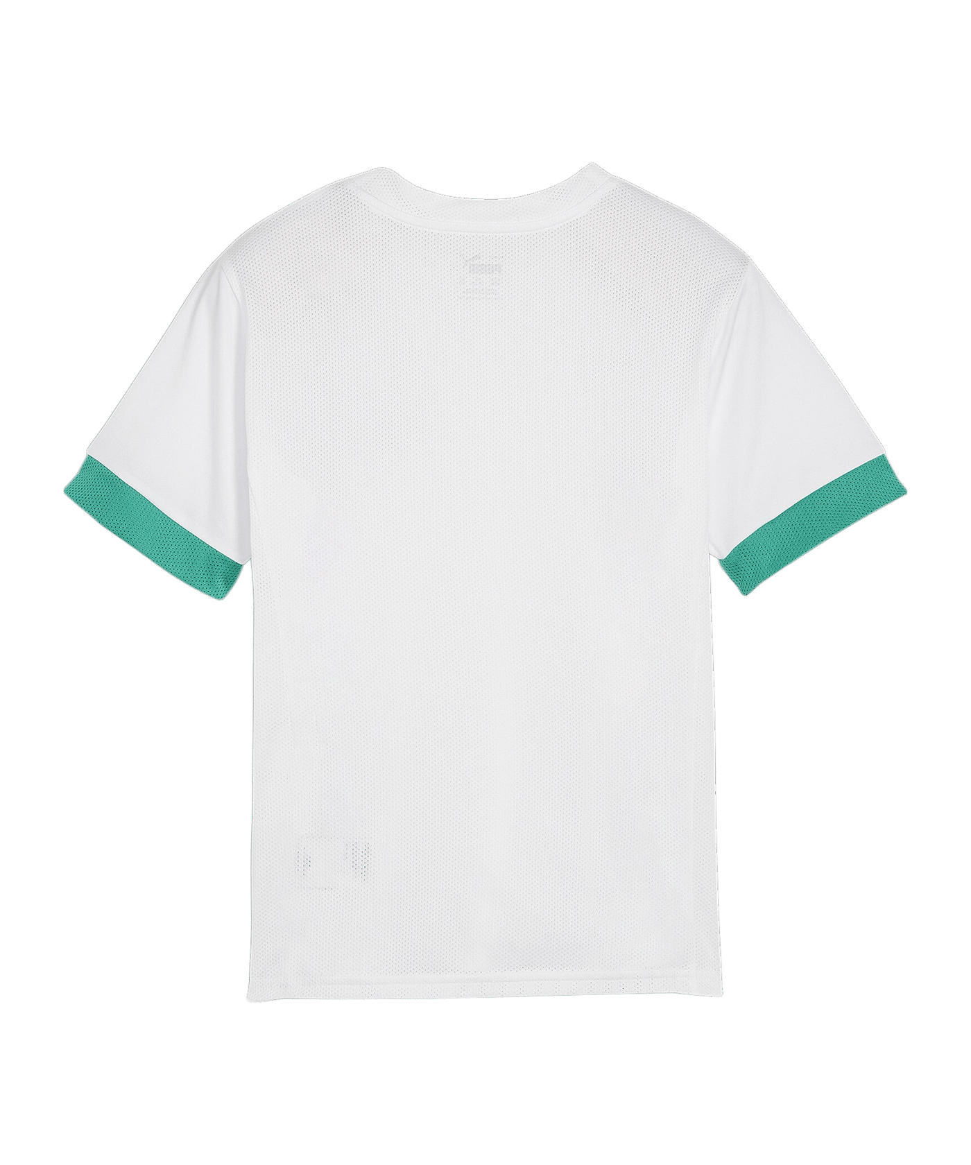 PUMA teamGOAL Matchday Trikot Kids Weiss Grün F15 - weiss