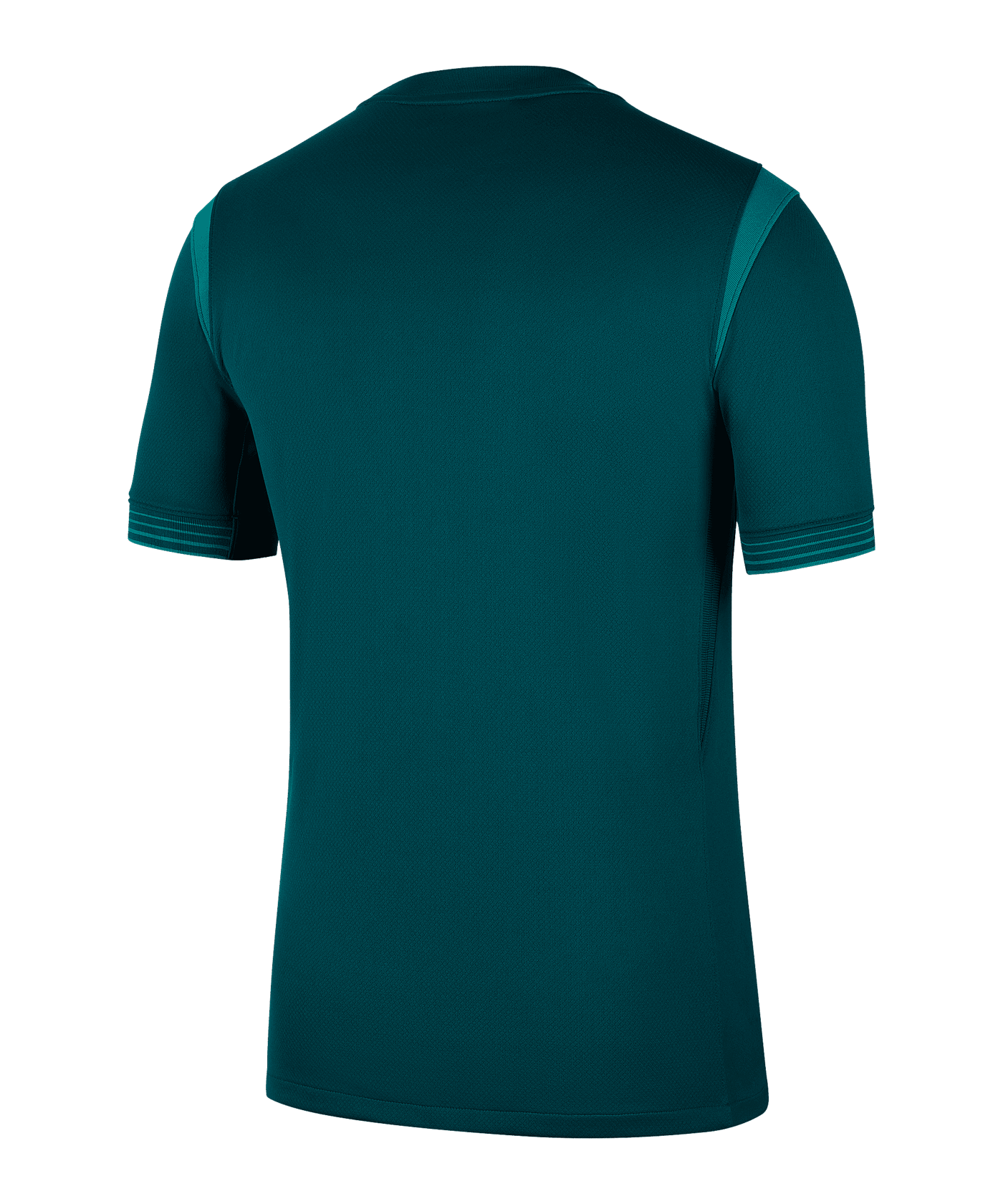 Nike Nigeria Trikot Home 2025/2026 Grün F483 - gruen
