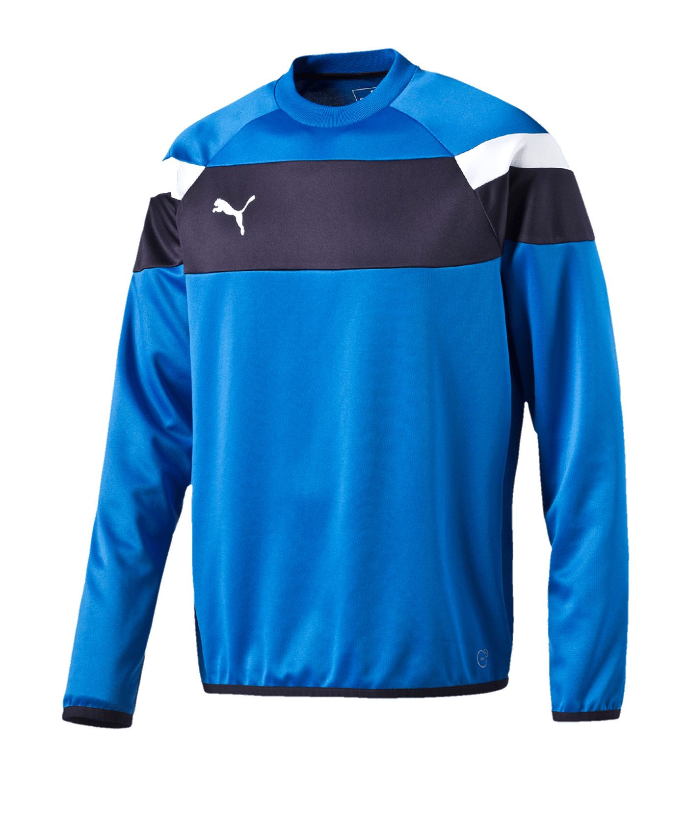 PUMA Spirit II Training Sweatshirt Blau Weiss F02 - blau