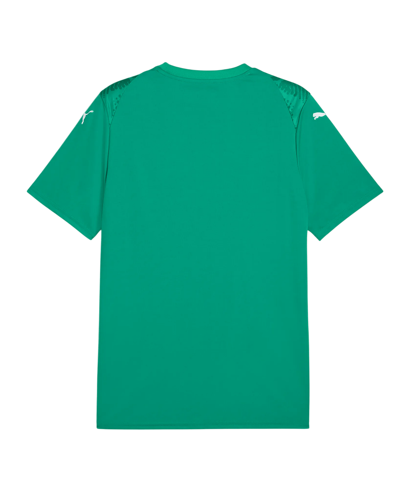 PUMA teamULTIMATE Trikot Grün F05 - gruen