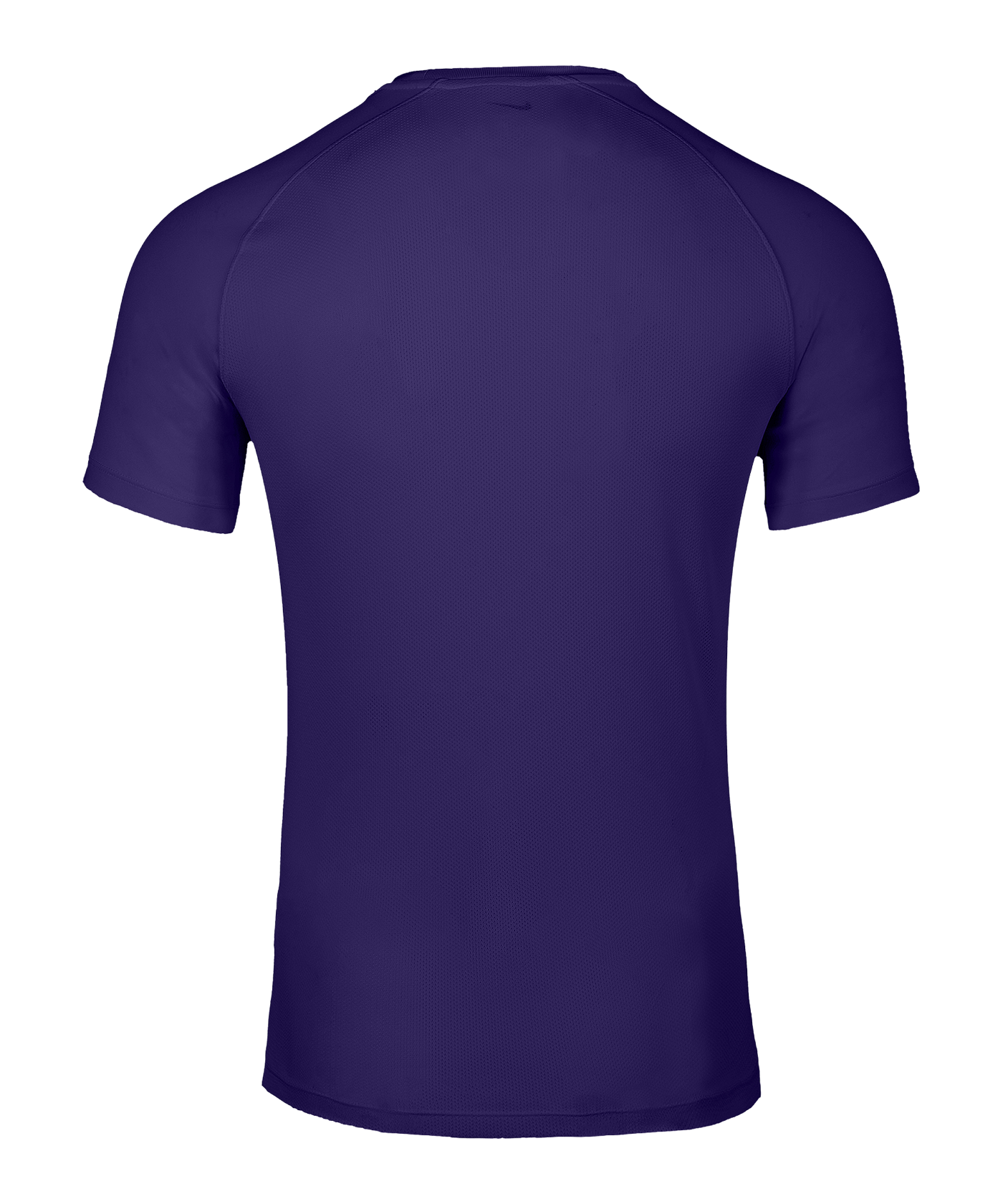 Nike Park VIII Trikot Lila F547 - lila