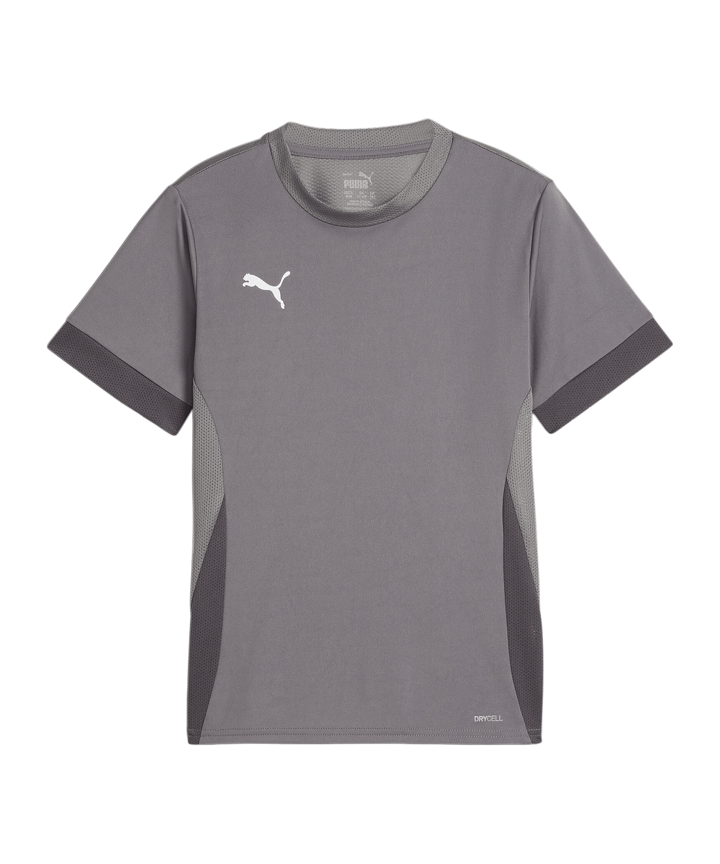 PUMA teamGOAL Matchday Trikot Kids Grau Weiss F13 - grau