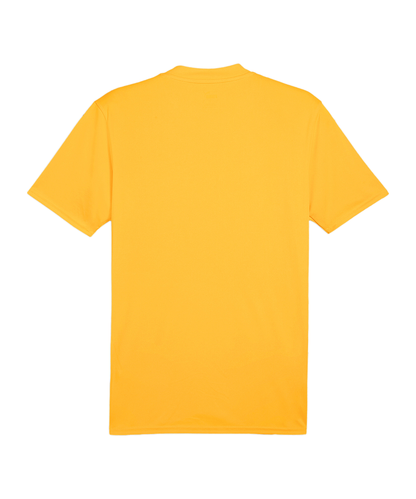 PUMA teamGLORY Trikot Orange Schwarz F61 - orange