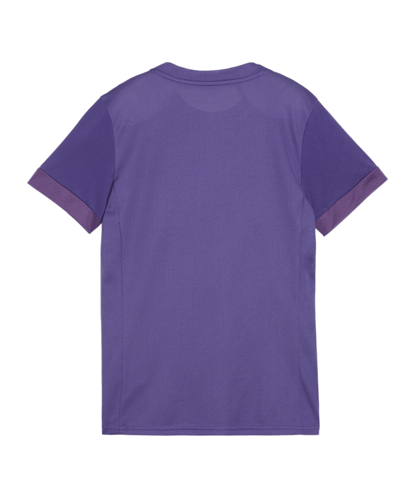 PUMA teamGOAL Matchday Trikot Damen Lila  Weiss F10 - lila