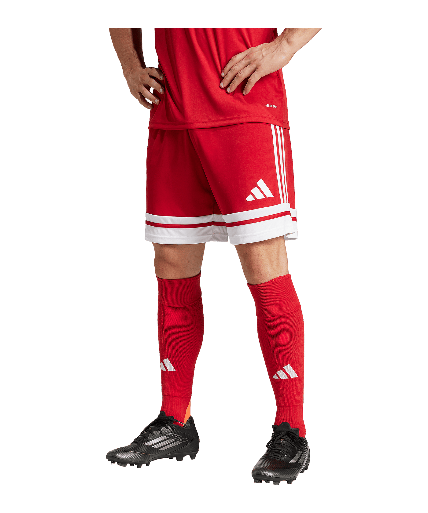 adidas Squadra 25 Short Rot - rot