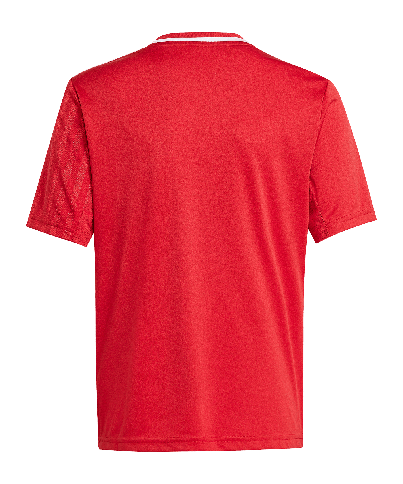 adidas Campeon 25 Trikot Kids Rot - rot