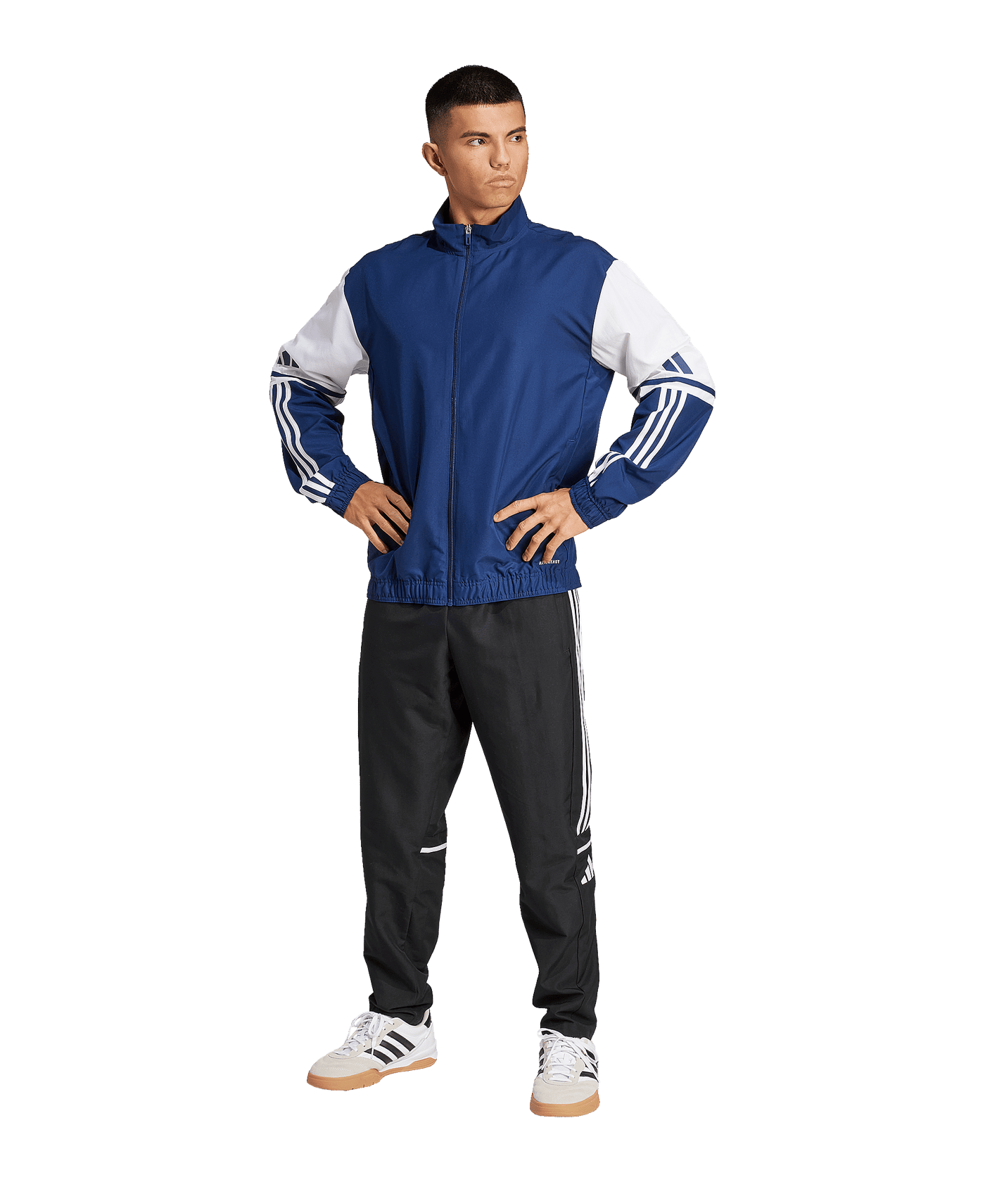 adidas Squadra 25 Präsentationsjacke Blau | - blau