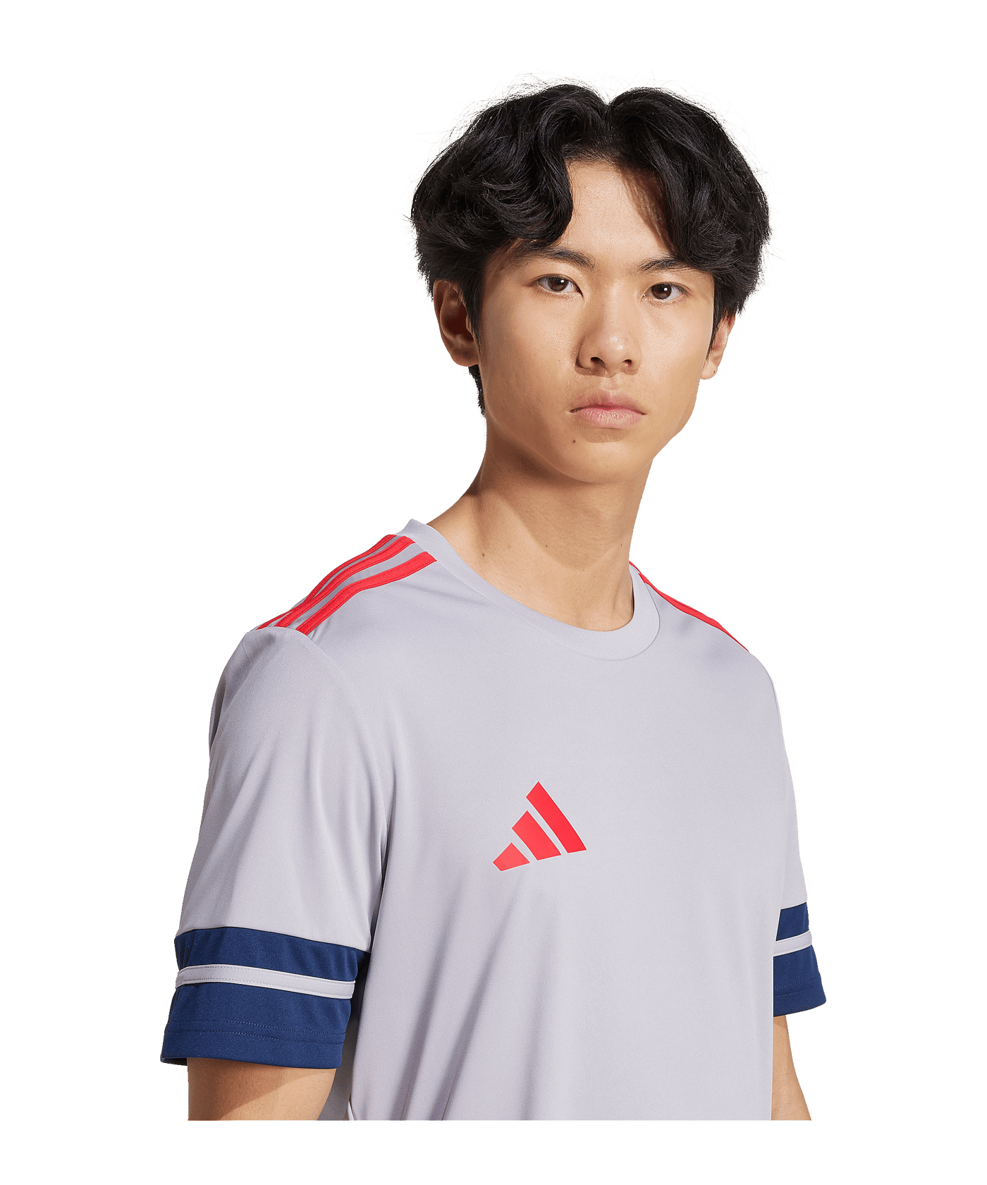 adidas Squadra 25 Trikot Grau - grau