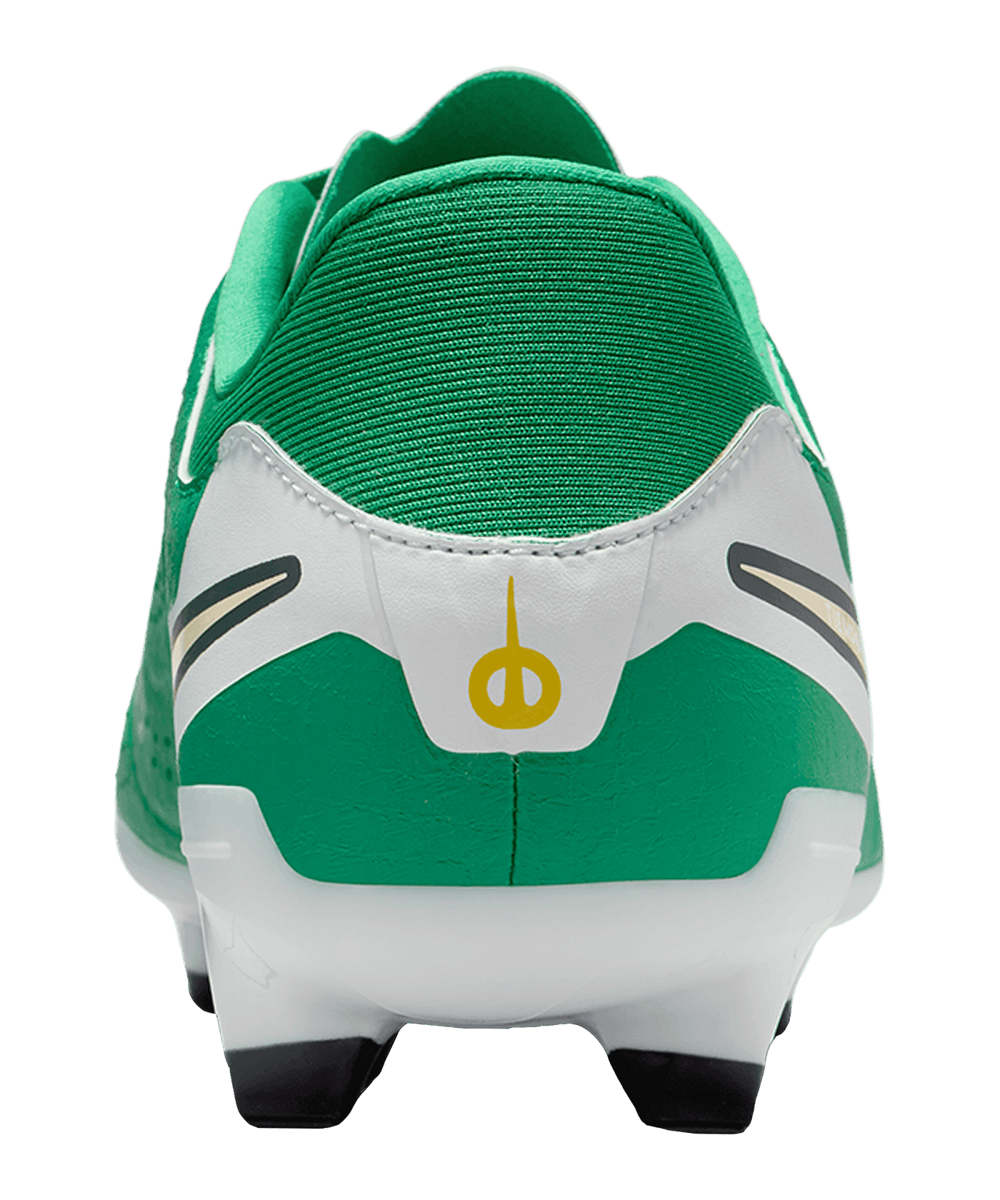 Nike Legend 10 Academy FG Grün F300 - gruen