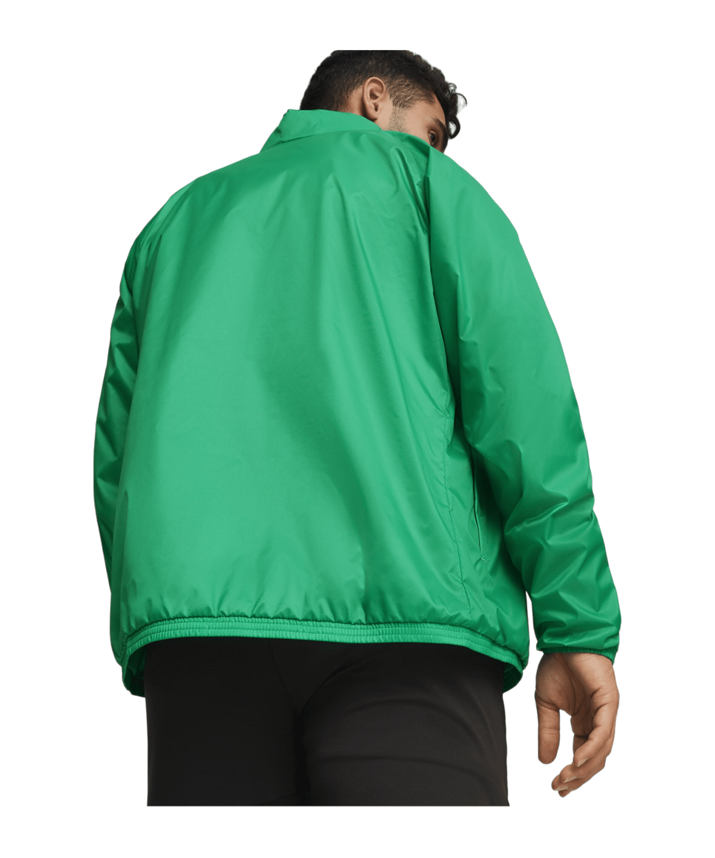 PUMA teamGOAL Allwetterjacke Grün Weiss F05 - gruen