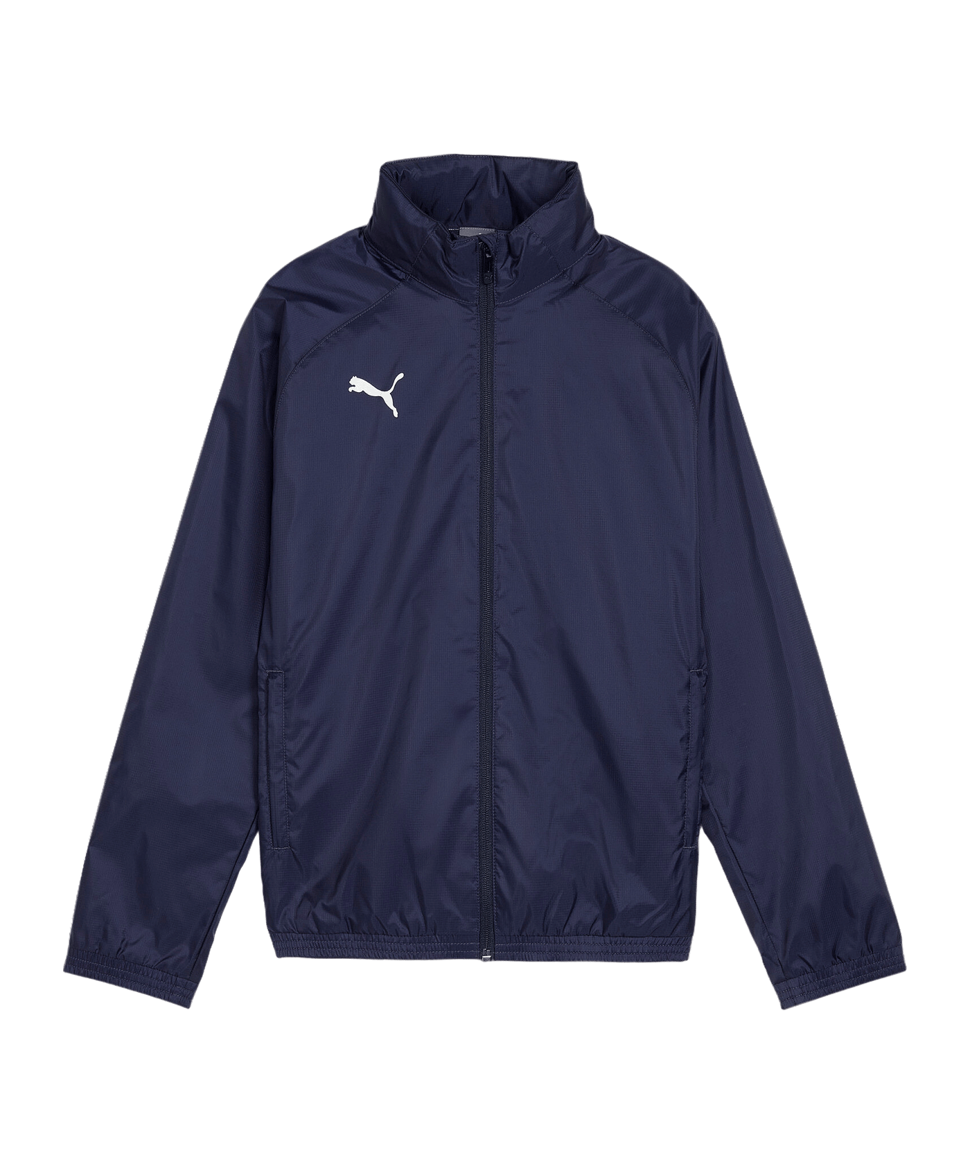 PUMA teamGOAL Regenjacke Kids Blau F06 - blau
