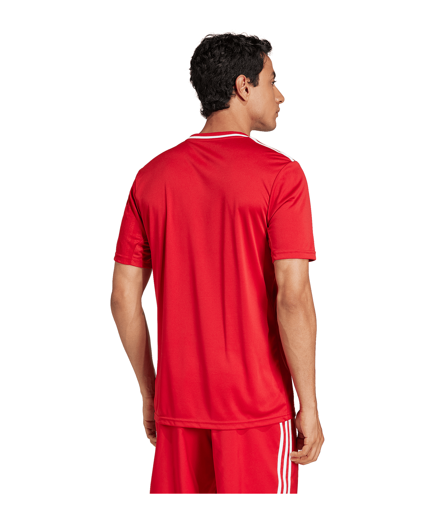 adidas Campeon 25 Trikot Rot - rot