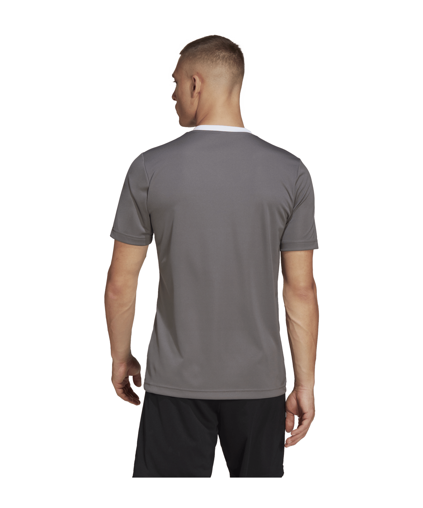 adidas Entrada 22 Trikot Grau Weiss - grau