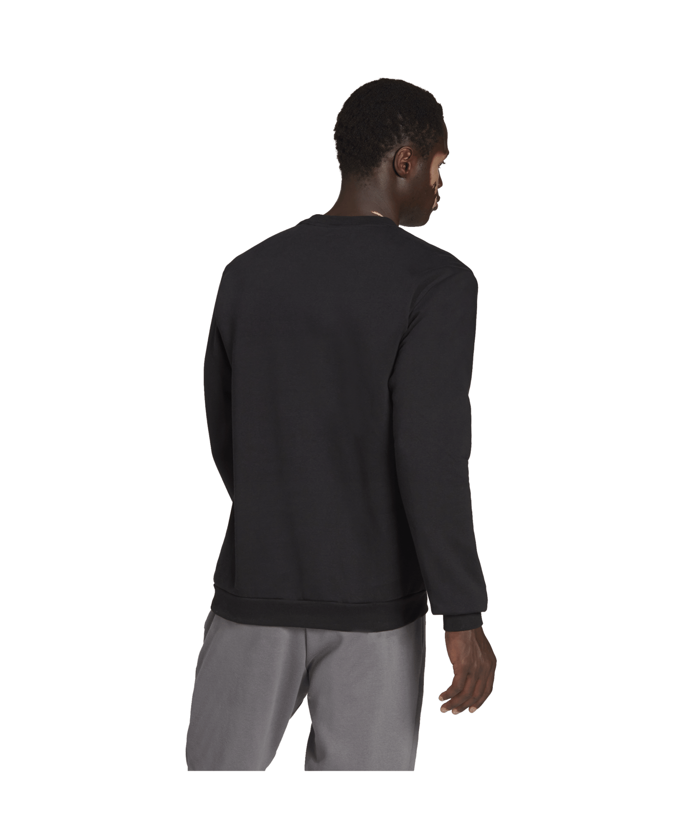adidas Entrada 22 Sweatshirt Schwarz - schwarz