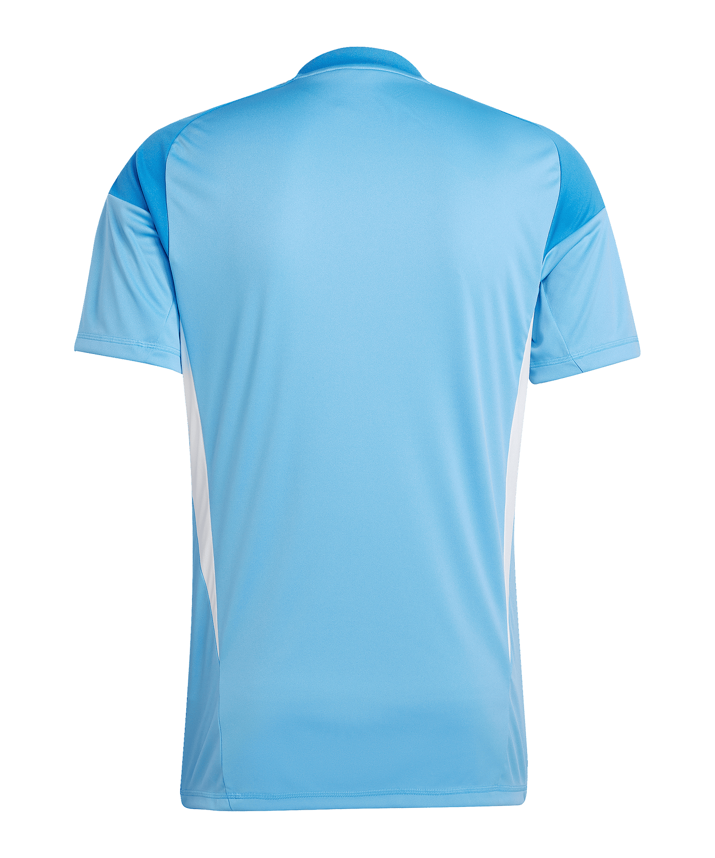 adidas Tiro 25 Competition Torwarttrikot Blau - blau