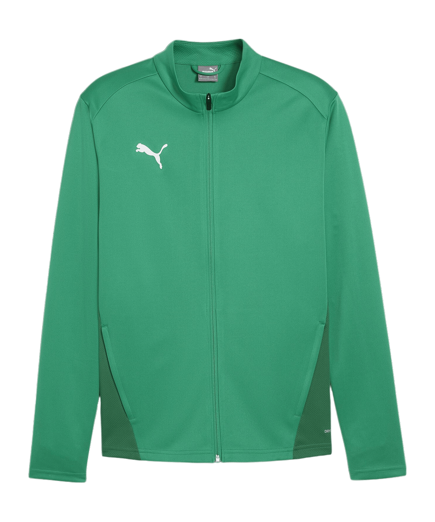 PUMA teamGOAL Trainingsjacke Grün F05 - gruen