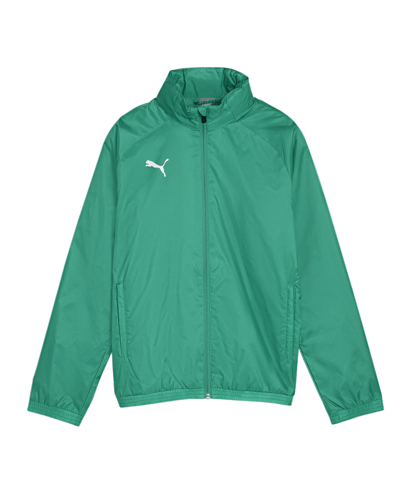 PUMA teamGOAL Allwetterjacke Kids Grün Weiss F05 - gruen