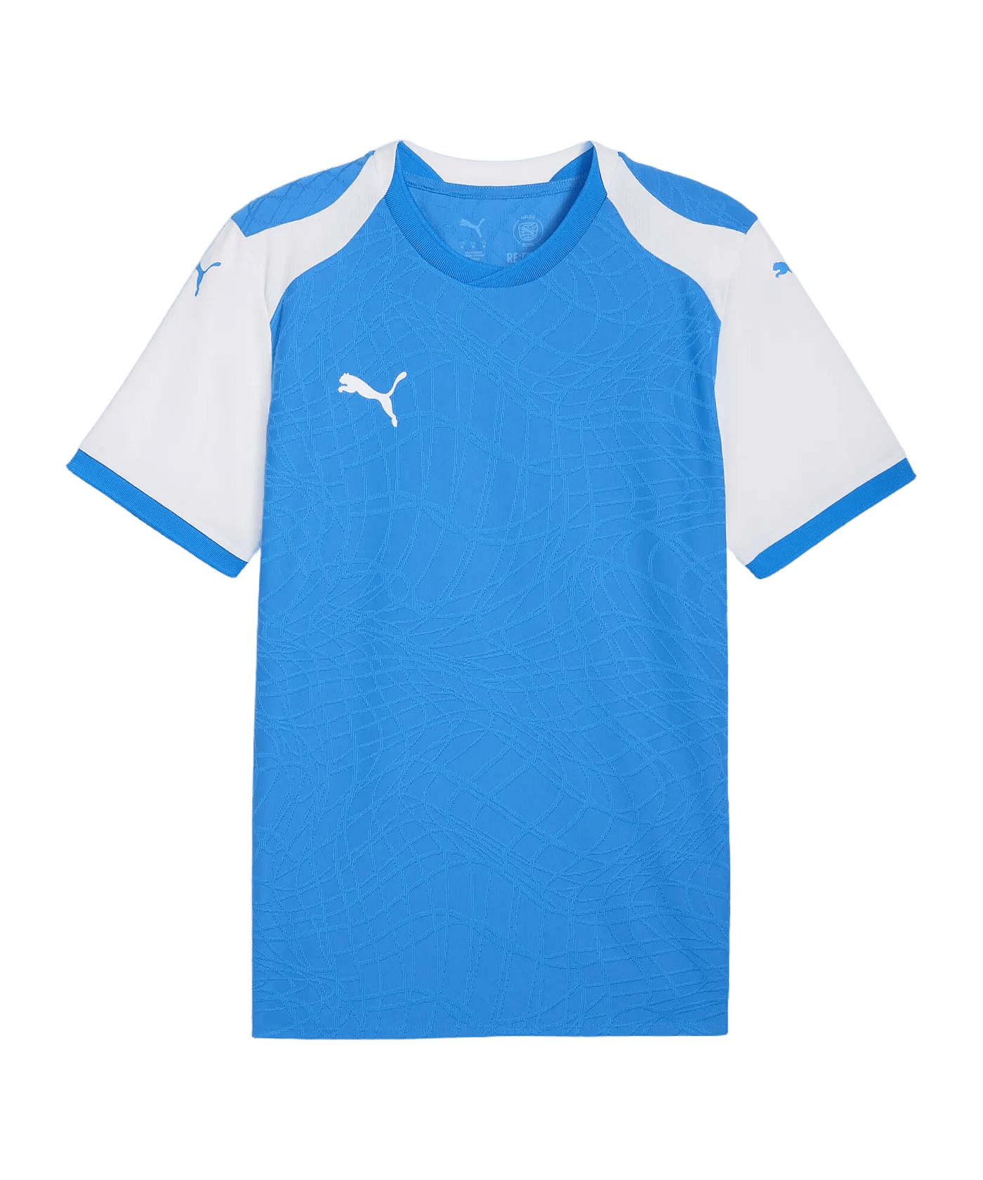 PUMA teamFINAL26 Knit Trikot Blau F02 - blau