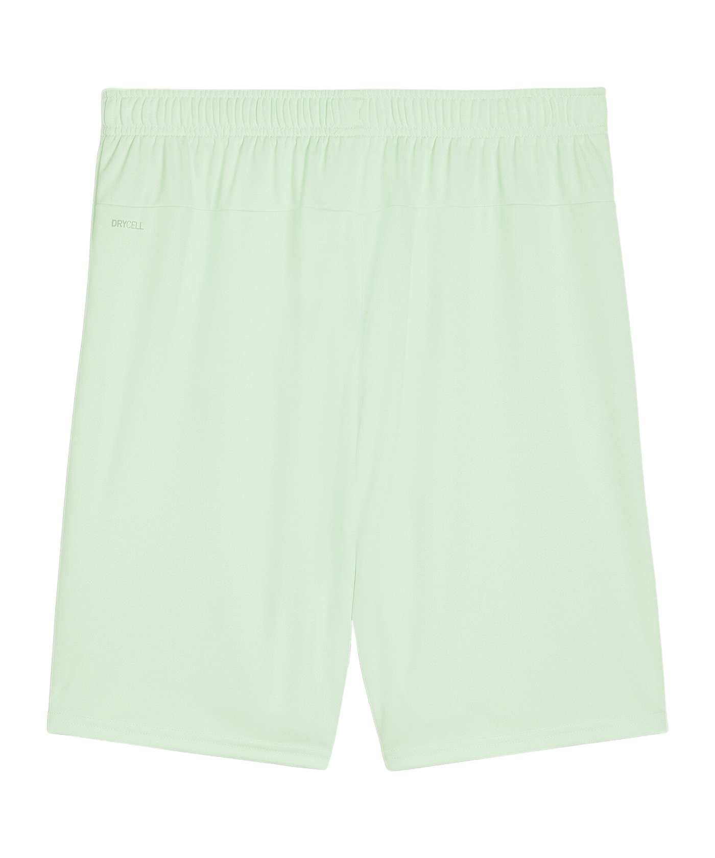 PUMA teamGOAL Short Grün Schwarz F60 - gruen