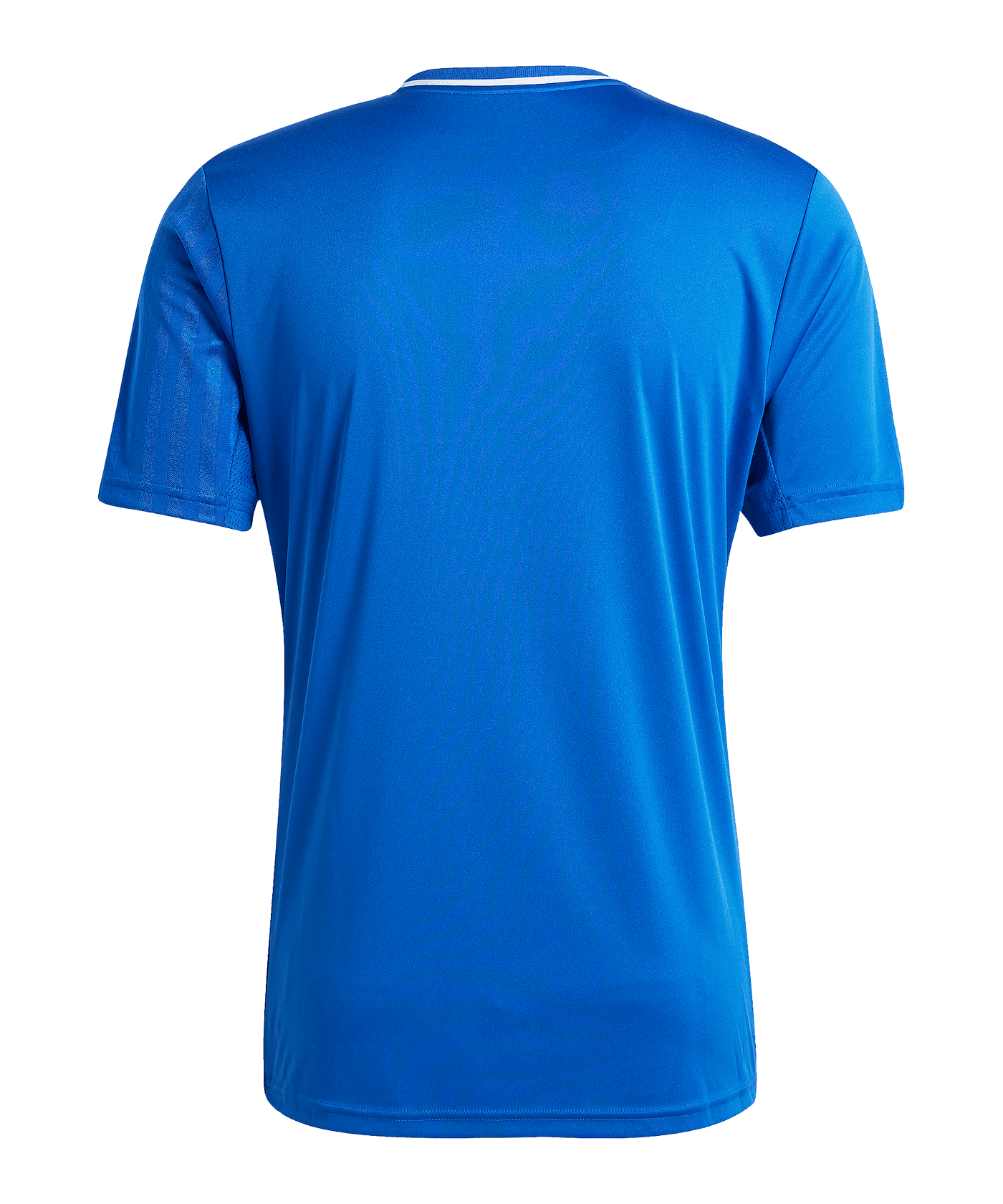 adidas Campeon 25 Trikot Blau | - blau