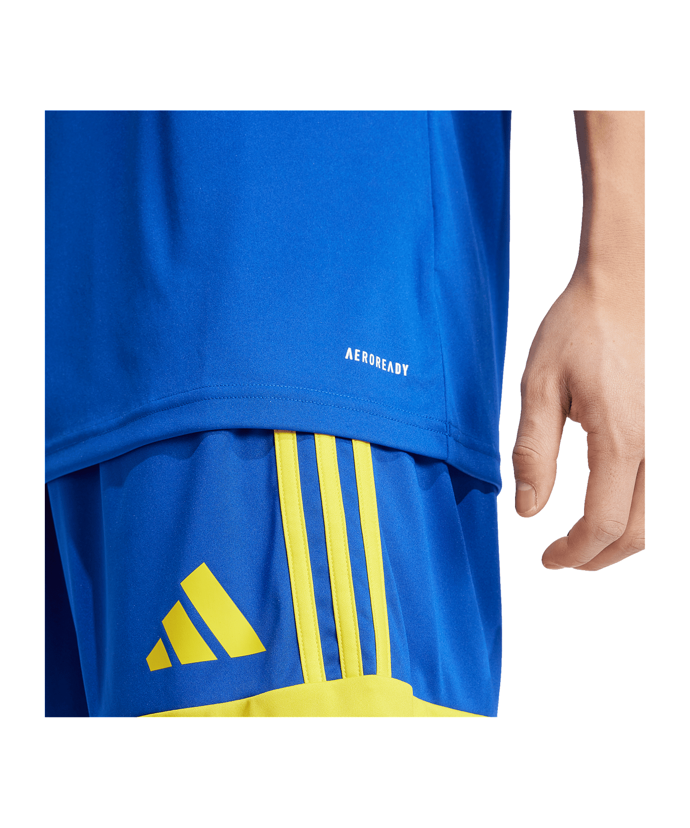 adidas Squadra 25 Trikot Blau - blau
