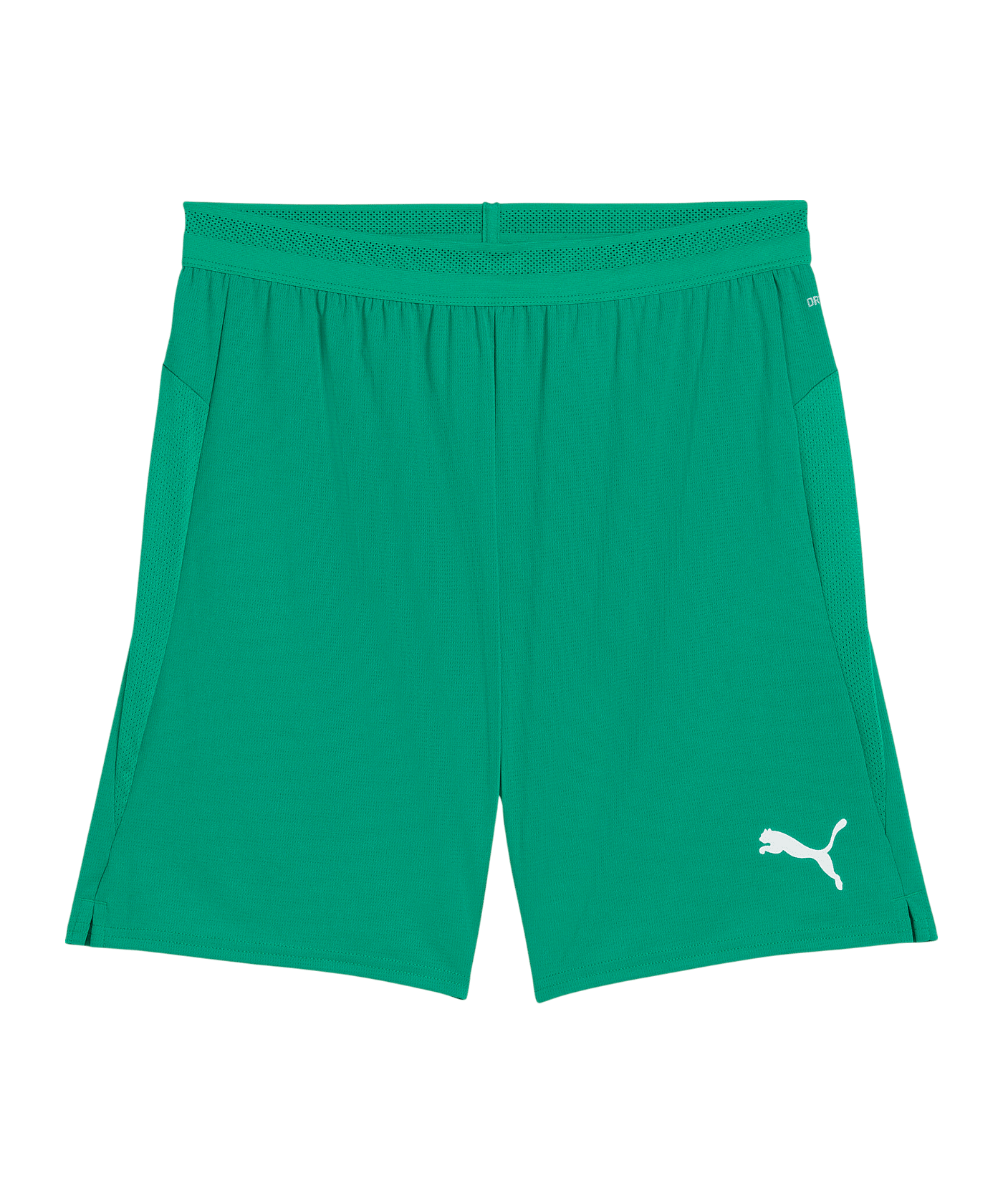 PUMA teamCup Short Grün F05 - gruen