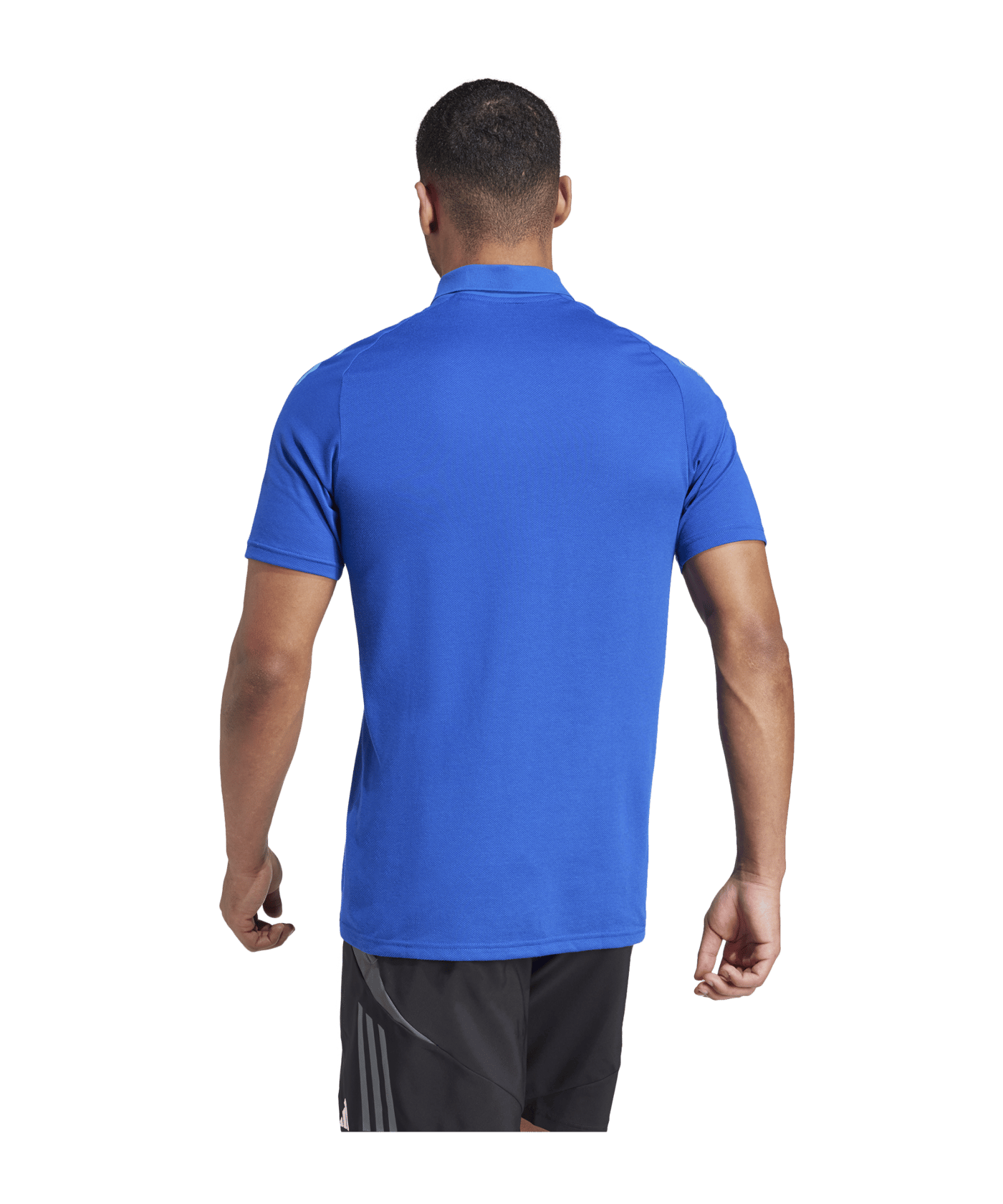 adidas Tiro 24 Competition Poloshirt Blau | - blau