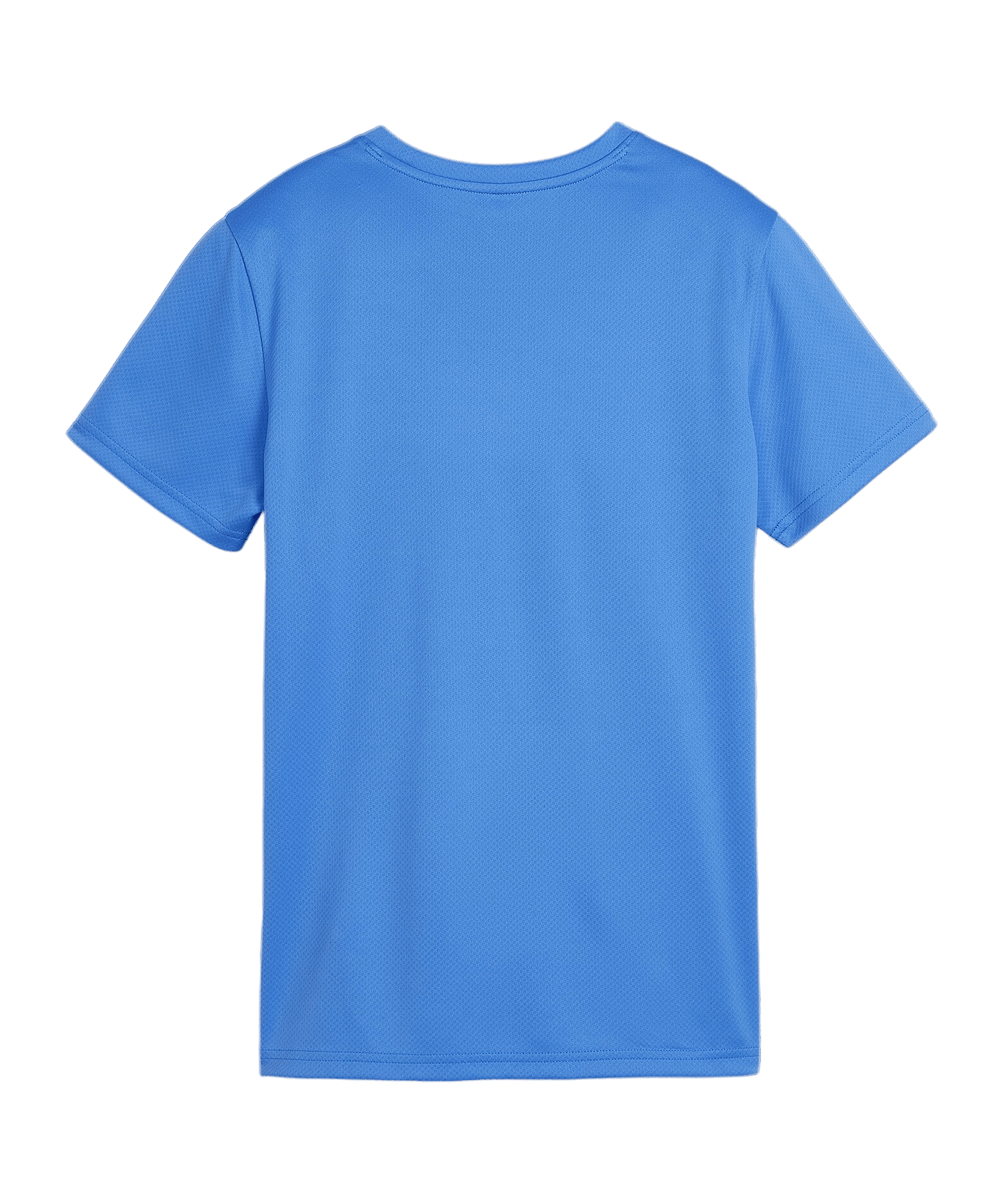 PUMA teamGOAL Trikot Damen Blau F02 - hellblau