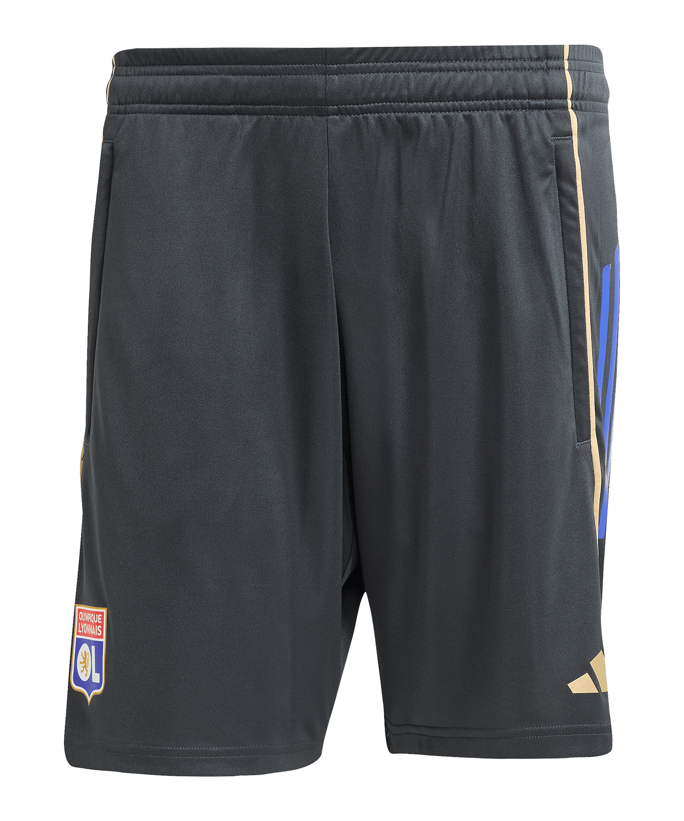 adidas Olympique Lyon Training Short Grau - grau
