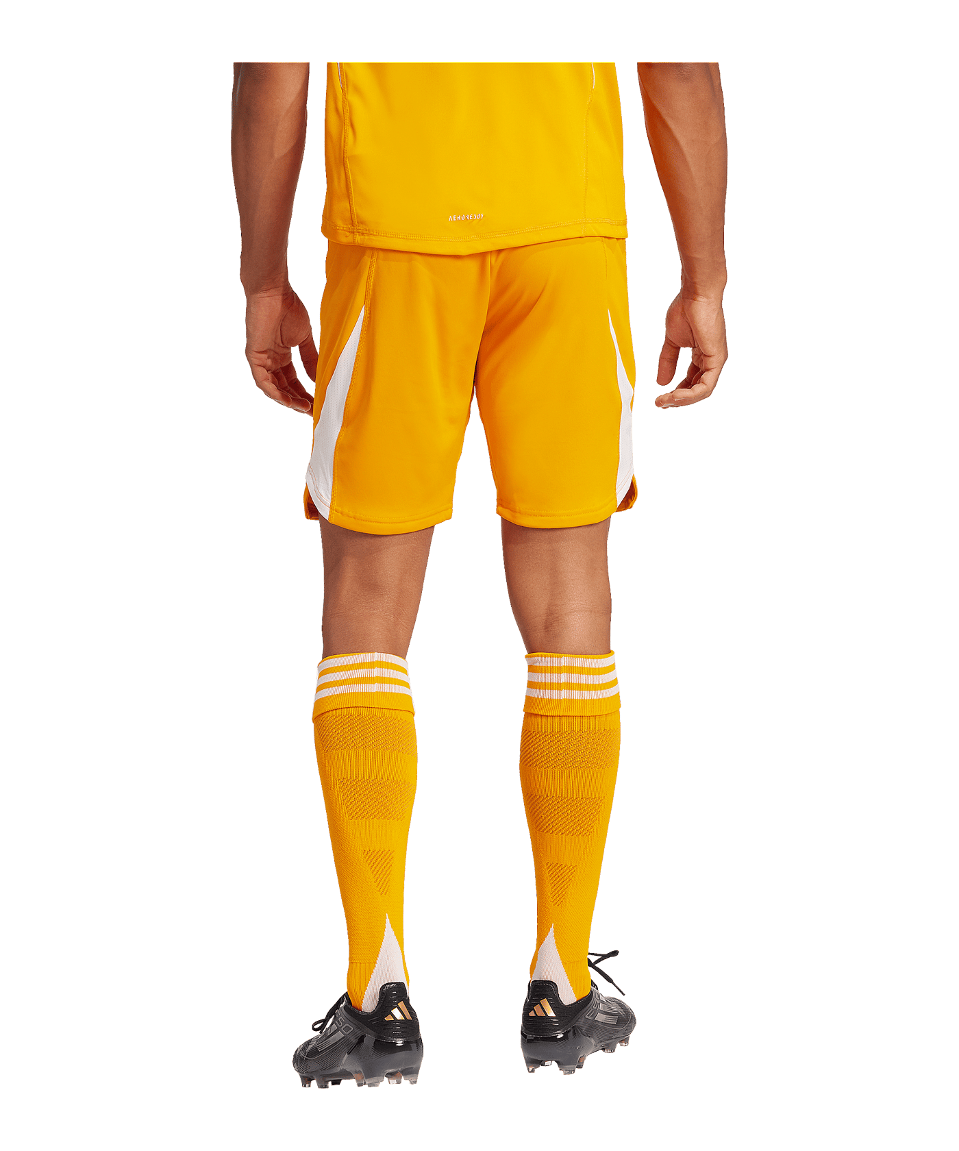 adidas Tiro 25 Pro Torwartshort Orange | - orange