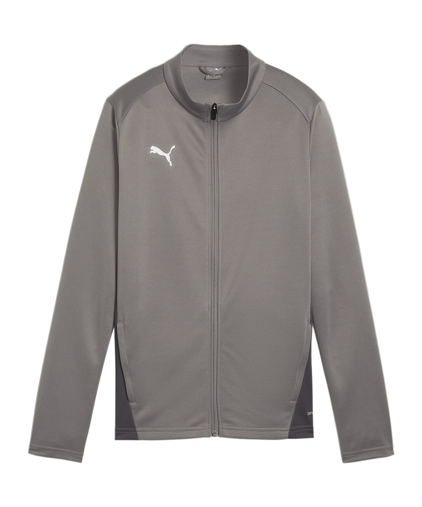 PUMA teamGOAL Trainingsjacke Damen Grau F13 - grau