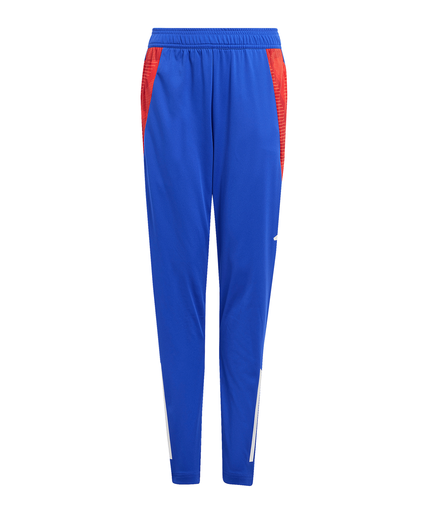 adidas Tiro 24 Competition Training Pants Kids Blue - blau