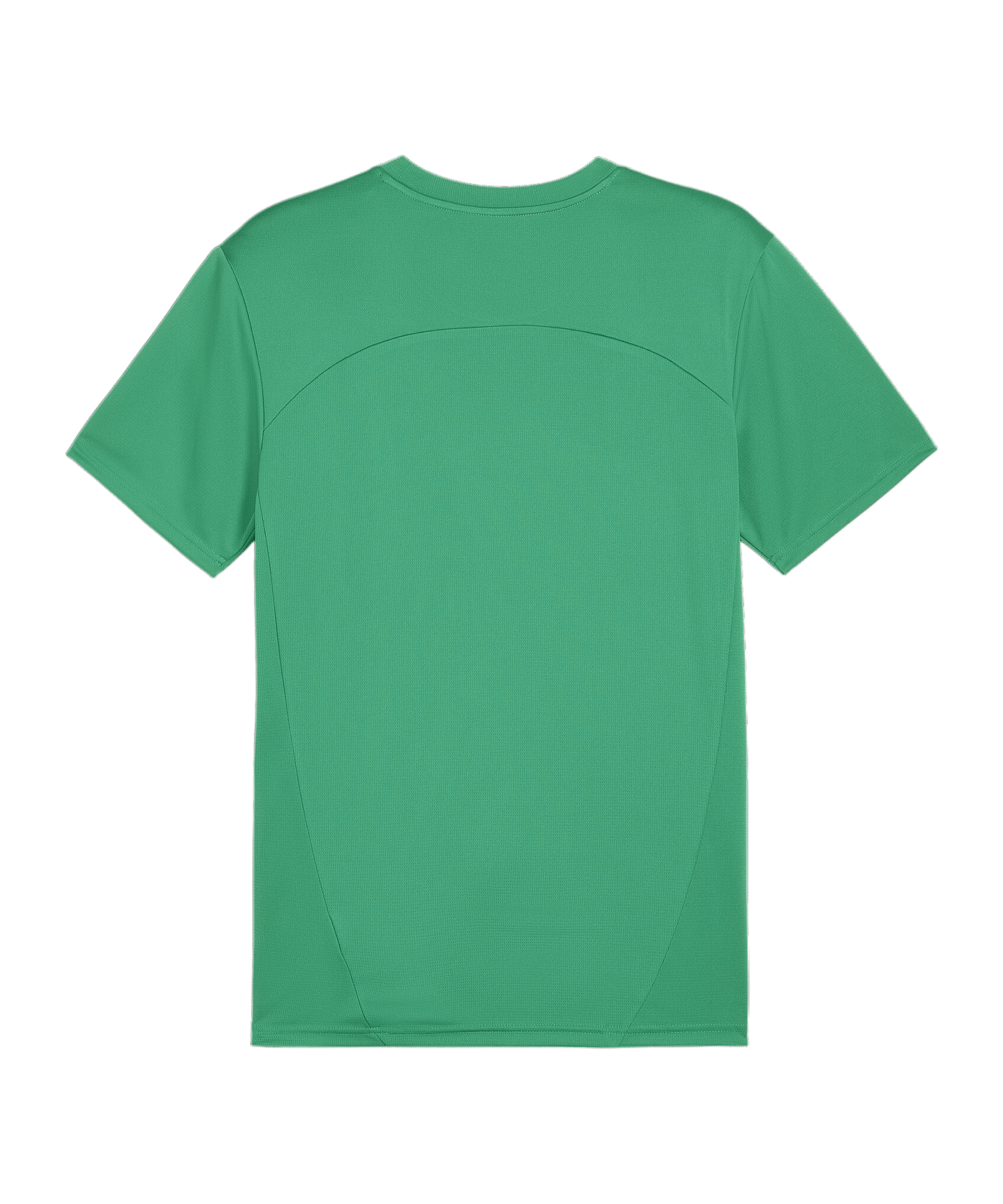 PUMA teamFINAL Trikot Grün F05 - gruen
