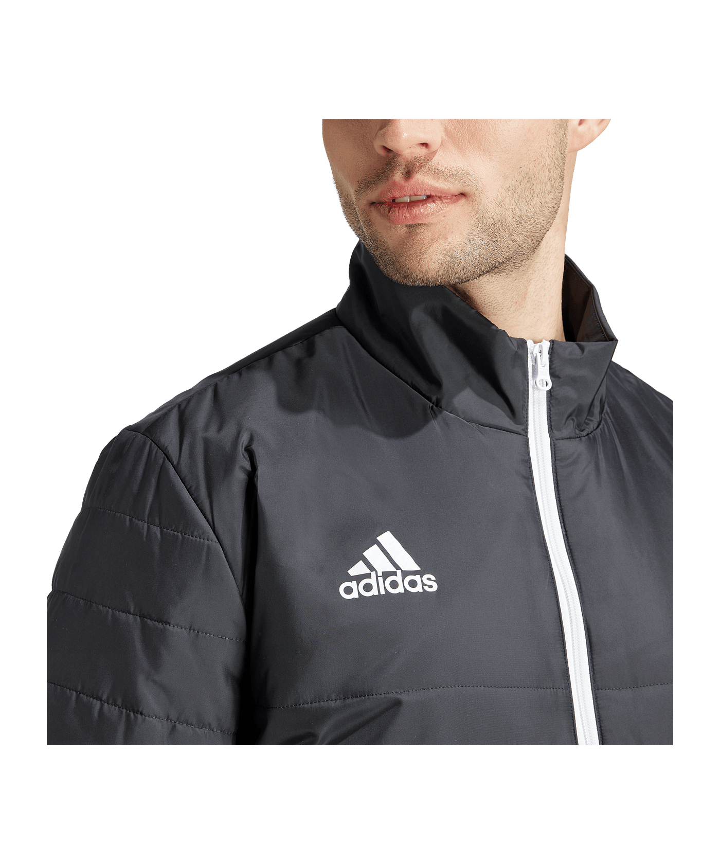 adidas Entrada 22 Winterjacke Schwarz - schwarz