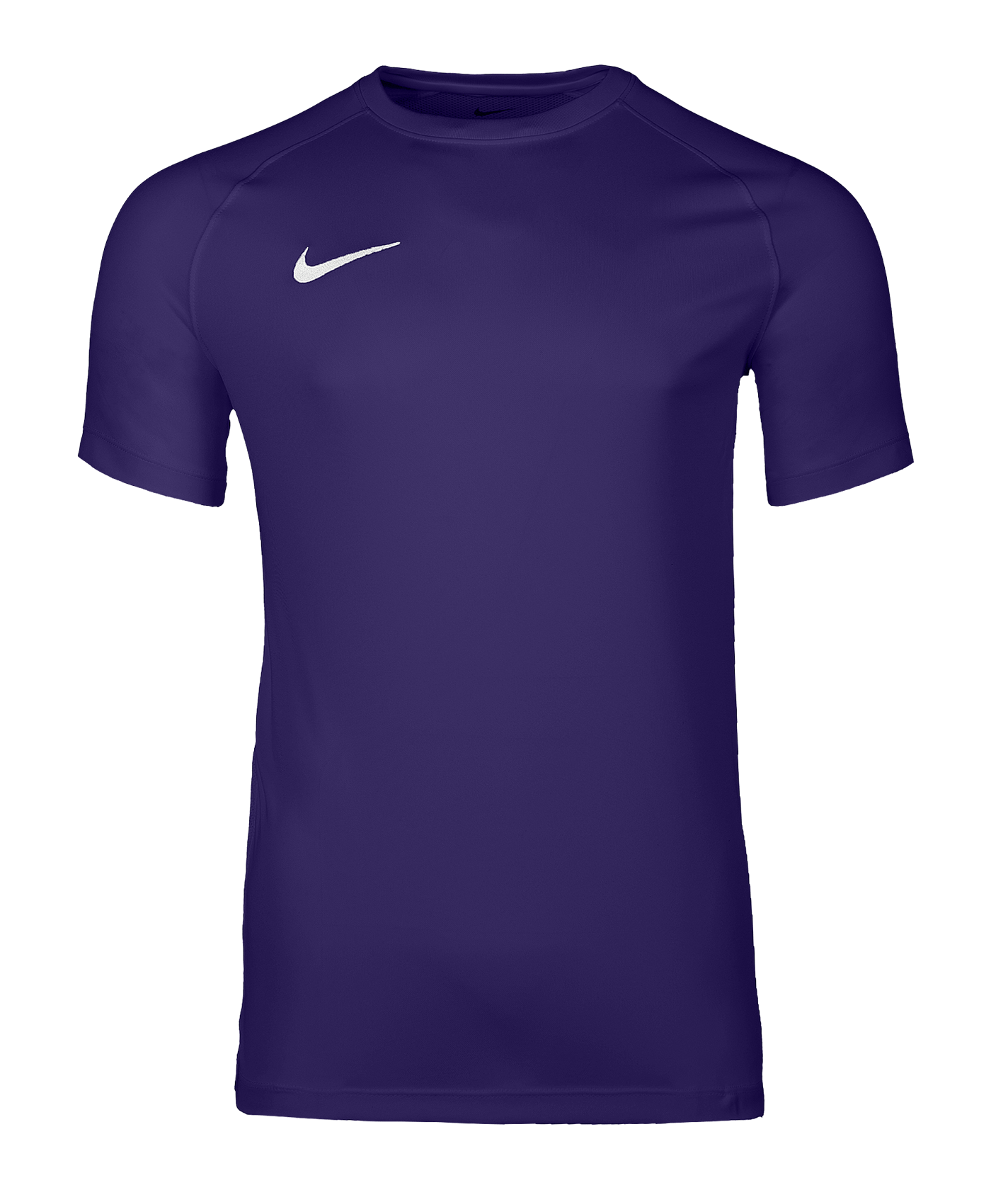 Nike Park VIII Trikot Lila F547 - lila