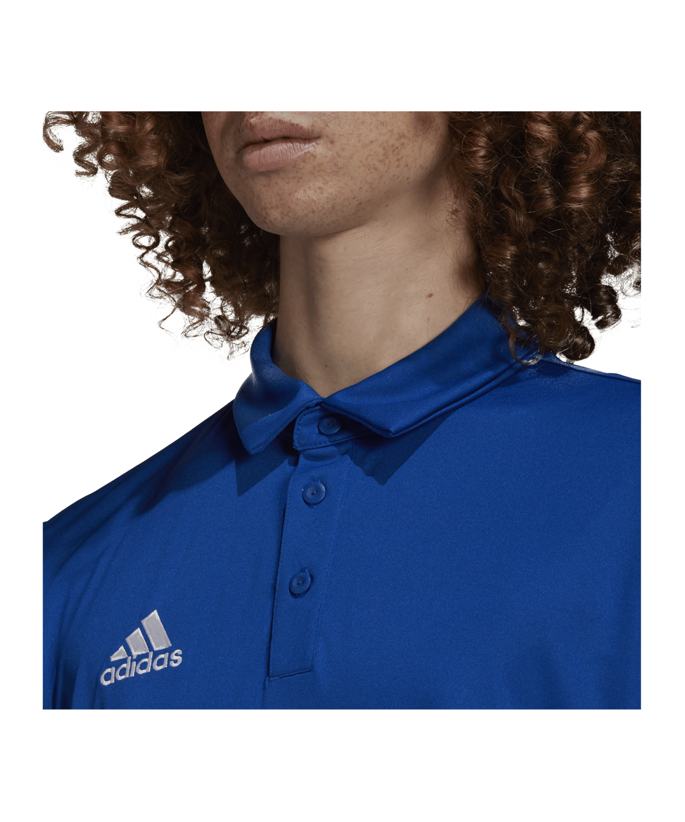 adidas Entrada 22 Poloshirt | Blau - blau