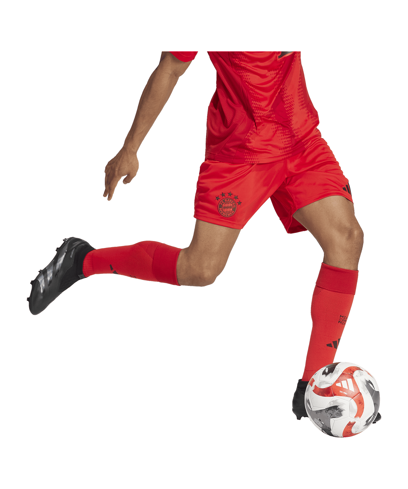 adidas FC Bayern München Short Home 2024/2025 Rot - rot