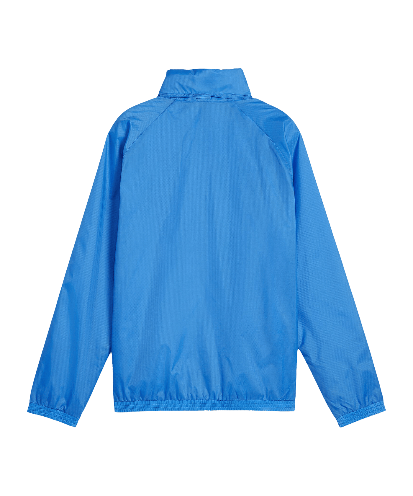 PUMA teamGOAL Allwetterjacke Kids Blau Weiss F02 - blau