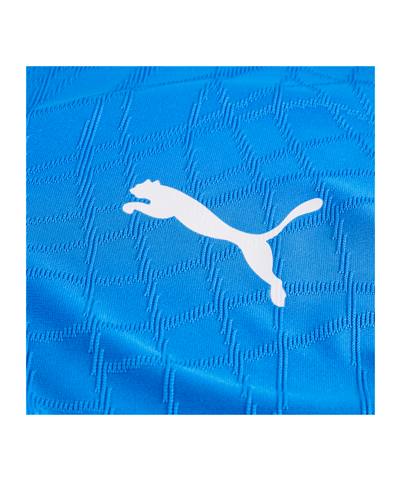 PUMA teamFINAL26 Knit Trikot Blau F02 - blau