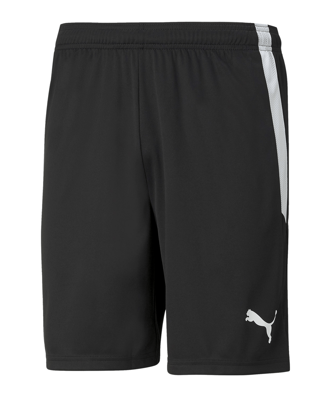 PUMA teamLIGA Short Schwarz Weiss F03 - schwarz