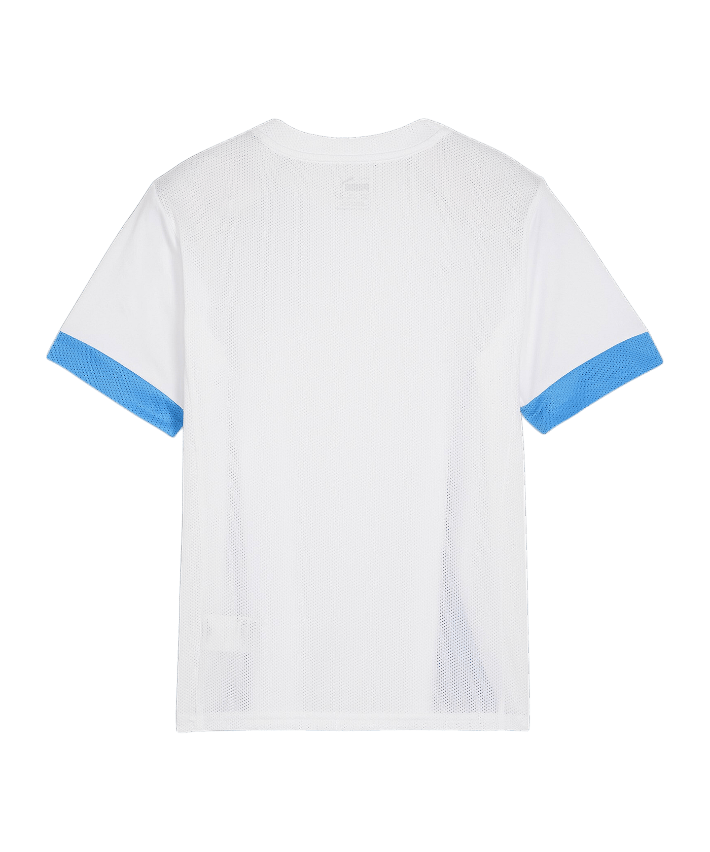 PUMA teamGOAL Matchday Trikot Kids Weiss Blau F12 - weiss