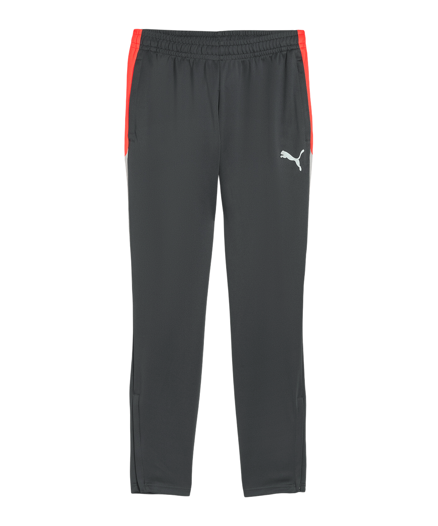 PUMA Individualliga Trainingshose Grau F10 - grau
