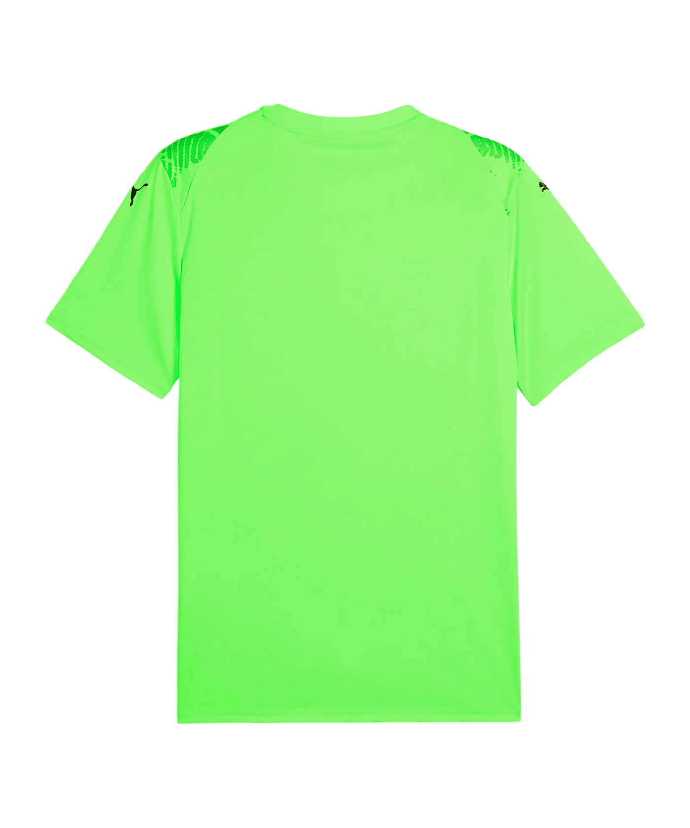 PUMA teamULTIMATE Trikot Grün F20 - gruen