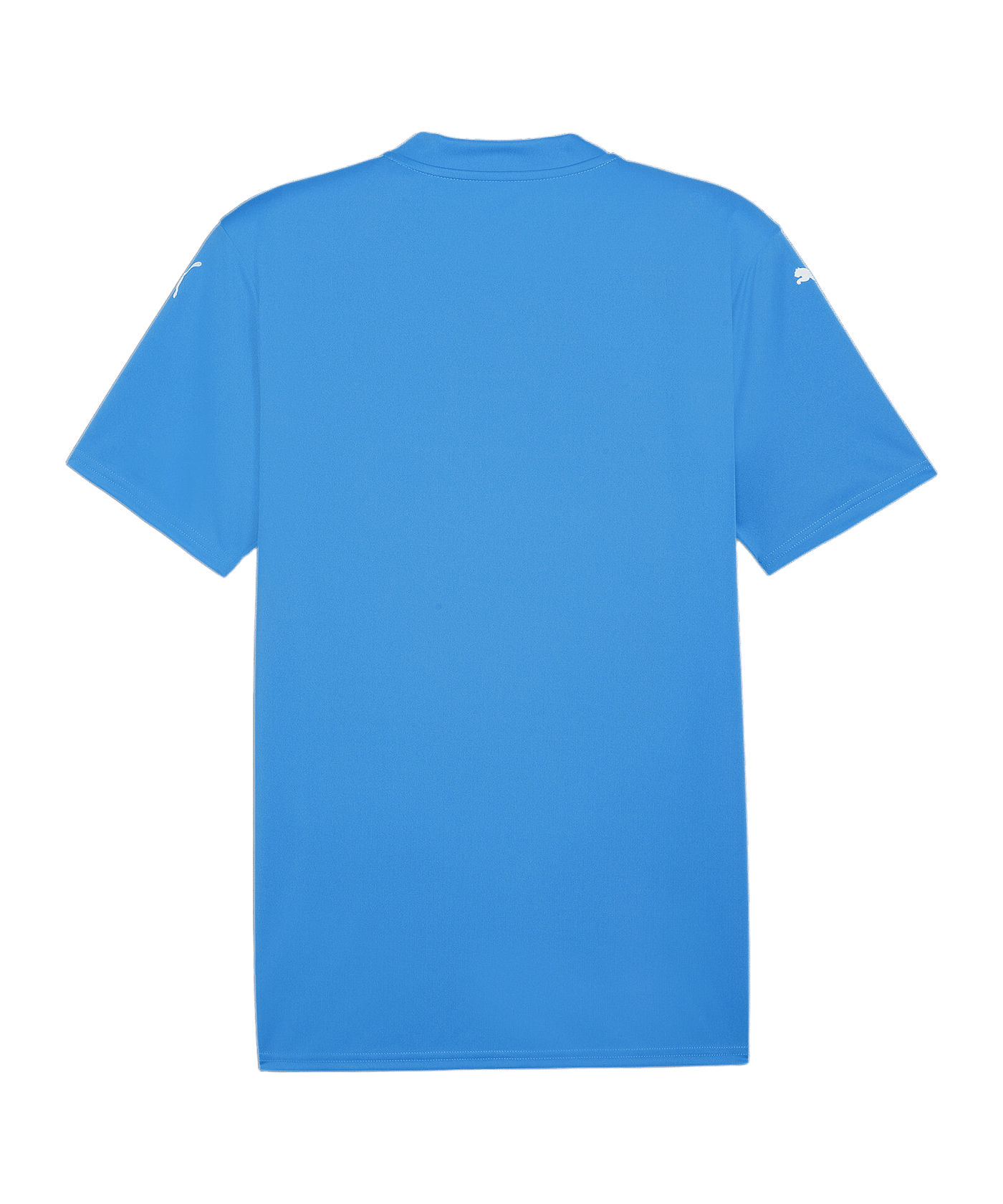 PUMA teamGLORY Trikot Blau Weiss Blau F02 - blau