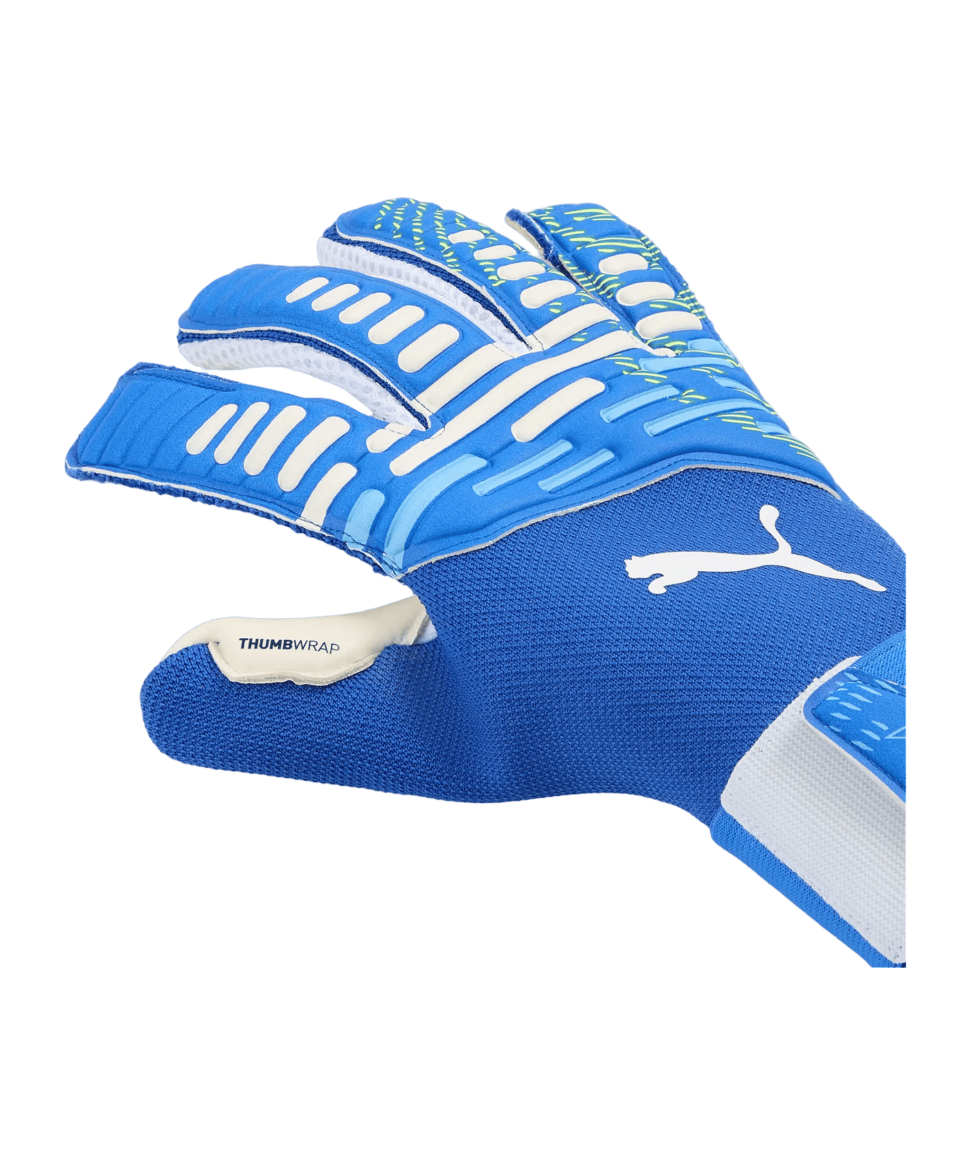 PUMA FUTURE Pro Hybrid Torwarthandschuhe Blau F12 - blau